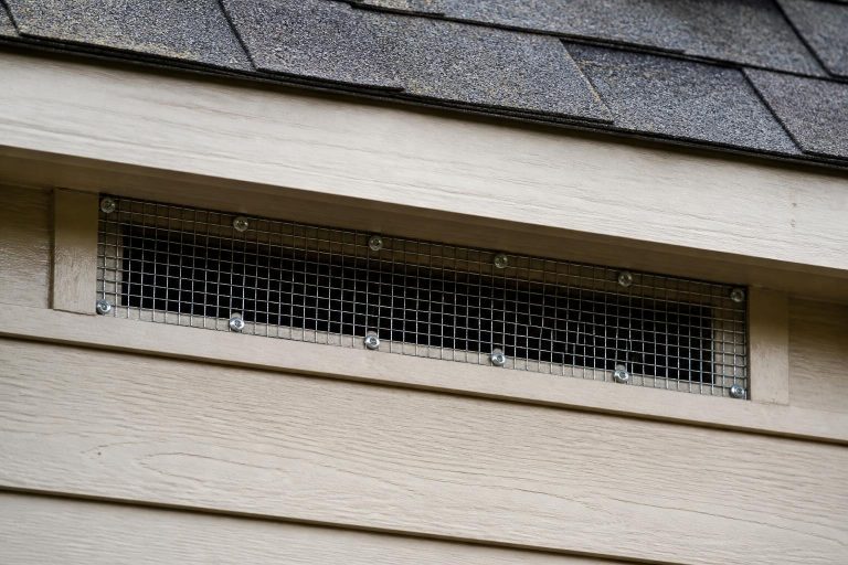 Bat Exclusion